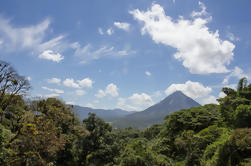 Arenal Hanging Bridges Tour