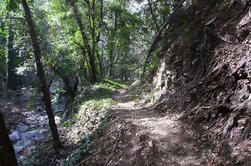 Tour privado en bicicleta de montaña de medio día cerca de L.A.