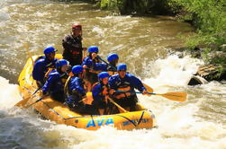 Arrecife de Oro Clear Creek Whitewater Rafting