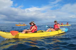 Deluxe Makena Kayak Turtle Snorkel Tour