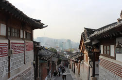 Het beste van Seoul - Private City Tour Inclusief Nanta Show