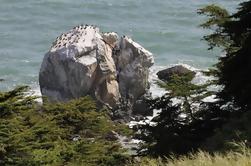 4 ore di tour a piedi di Lands End a San Francisco