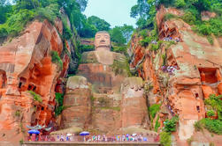 Excursión de un día privado: Panda de Chengdu y Buda de Leshan