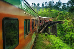 Private Day Trip: Nuwara Eliya van Kandy met de trein