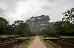 Private Day Trip: Sigiriya en Dambulla Rock Cave Temple van Kandy