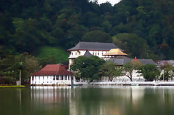 Private Tour: Kandy Day Tour da Colombo