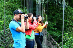 Klasse II-III Rafting og Hanging Bridges fra La Fortuna