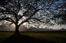 Excursão em grupo para os principais templos de Angkor