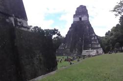 Tikal rovine Maya