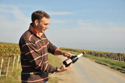 3 horas de visita a la región de Champagne de Reims