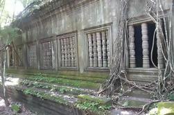 Private Tour: Beng Mealea Jungle Temple e Kompong Phluk Floating Village