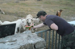 Excursión tradicional de Mykonian Farm desde Mykonos