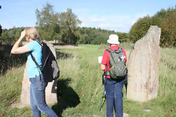 Private Half Day Tour: Viagem de História Viking de Estocolmo