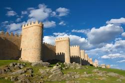 Avila e Segovia: Guided Day Tour da Madrid con pranzo