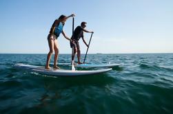 Stand-up-paddle op Laguna van Thau, Sete