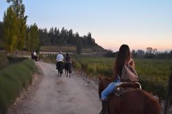 Paseo a caballo por el vino y parrilla de Santiago