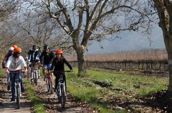 Private Wine and Bike Combo Full-Day Tour with Lunch