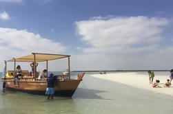 Bahía de los delfines: Crucero de día natural remoto de la escapada de la playa de Abu Dhabi