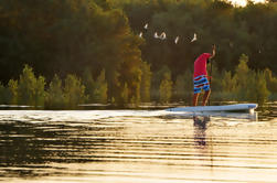 Abu Dhabi Mangroven Stand-Up Paddle Board Rondleiding