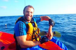 Caiaque de meio dia e experiência de pesca de Tauranga