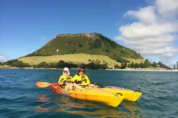 Tauranga Shore Excursion: Mt. Maunganui Kayak Tour