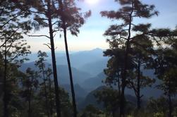 Tour de Observación de Aves en Sierra Madre