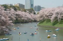 1-Day Tokyo Garden Tour inclusief ontbijt en lunch