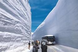 Dagtocht naar Tateyama Kurobe Alpine Route van Nagoya