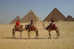 Sightseeing Day Tour to Pyramids, Egyptian Museum and Bazaar from Giza or Cairo