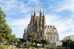 Barcelona Walking Tour met Priority Access Sagrada Familia