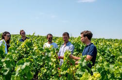 Tour a la región de Champagne desde Reims