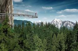 Vancouver Private Day Tour and Capilano Suspension Bridge