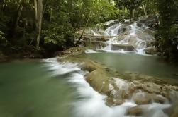 Dunn's River Falls Excursão Privada De Falmouth