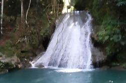 Ocho Rios Shore Excursion: Private Blue Hole Tour