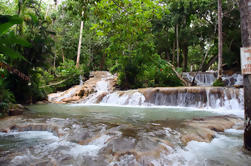 Visite privée à Dunn's River Falls