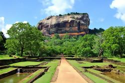 Full-Day Tour of Sigiriya Rock Fortress and Dambulla Cave Temples by Luxury Vehicle