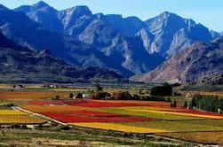 Paarl Valley Vinos y Cultura Bike Tour de Ciudad del Cabo