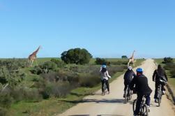 Safari Bike Tour de Ciudad del Cabo