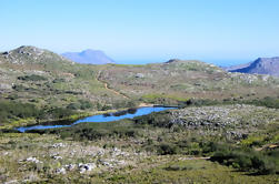 Reserva natural de Silvermine Caminata desde Ciudad del Cabo