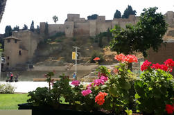 Tour privado de medio día en el histórico Málaga desde Marbella