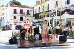 Tour privado de medio día en Mijas Pueblo desde Marbella