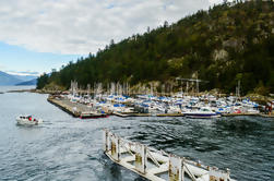 Excursión de la excursión y de la fotografía de la isla de Bowen