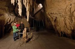 Tauranga Shore Excursion: Waitomo Caves en The Kiwi House