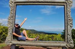 Piha Beach en Rainforest Day Tour