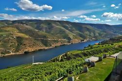 Douro Valley Guided Tour from Porto