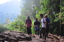 Excursión al Parque Nacional Taman Negara de 2 Días y Tour al Santuario del Elefante de Kuala Gandah