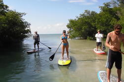 Key West Mangrove Ecossistema Paddleboard Tour