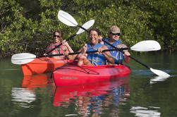 4 horas de Refúgio de Vida Selvagem Kayak e Backcountry Snorkel Tour