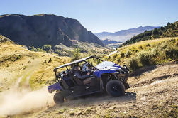 Tour guiado panorámico de Buggy por carretera desde Queenstown