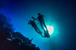 Full-Day Scuba Diving Catalina Island Tour van Bavaro